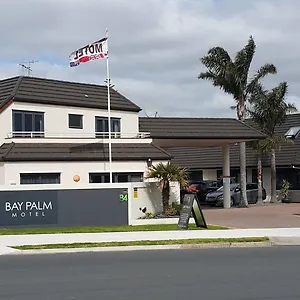 Bay Palm Mount Maunganui